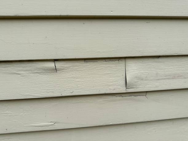 Best Insulated Siding Installation  in Portland, IN